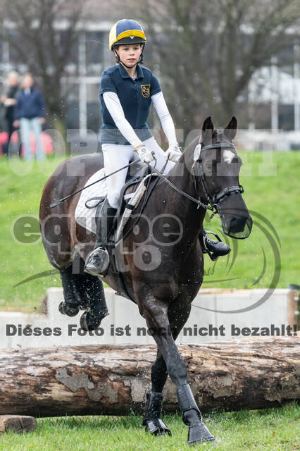 Goldene Schärpe 2020 - Pferde