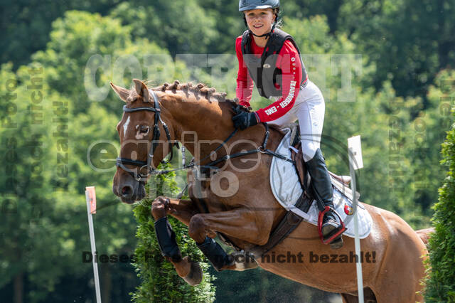 Goldene Schärpe 2021 - Ponys
