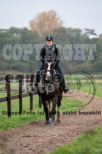 Vielseitigkeitslehrgang mit Jürg Kurbel (9.+10.11.2019)