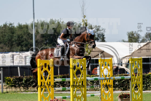 Kronenberg - De Peelbergen (August 2020)