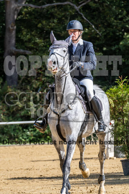 RFV Dinslaken-Hiesfeld (Herbstturnier)