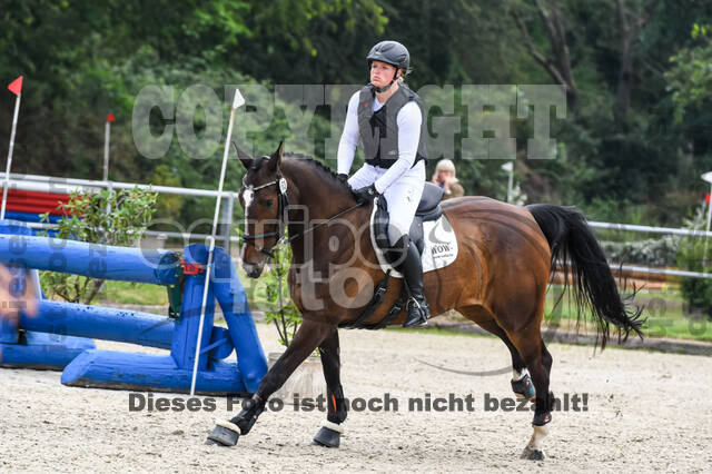 Late-Entry-Vielseitigkeit Langenfeld (11.+13./14.06.2020)