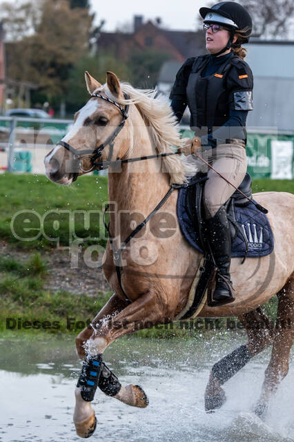 IGV Lehrgang der Sieger der Cups mit Frank Ostholt