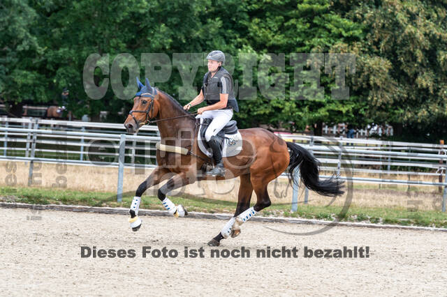 Late-Entry-Vielseitigkeit Langenfeld (11.+13./14.06.2020)