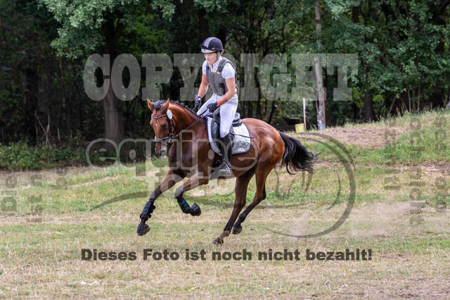 Late-Entry Vielseitigkeit Hamminkeln/Wesel (01.+02.08.2020)
