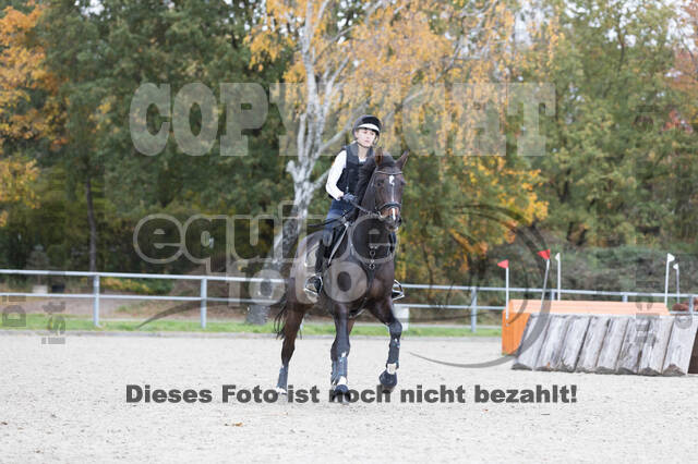IGV Lehrgang der Sieger der Cups mit Frank Ostholt