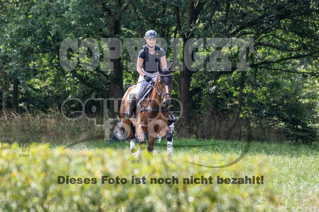 Late-Entry-Vielseitigkeit Gahlen (18.07.2020)