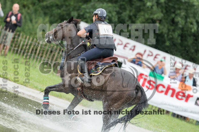 FEI European Championship
