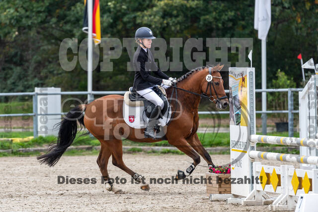 Goldene Schärpe 2020 - Pferde