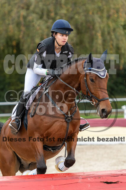 Goldene Schärpe 2020 - Pferde