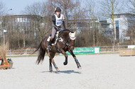 Eventing Langenfeld 2018