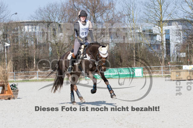 Eventing Langenfeld 2018