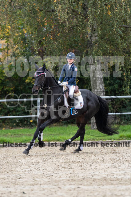 Reiter Schleswig-Holstein