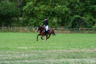 Bonn-Rodderberg Late-Entry-Vielseitigkeit (30.06.2020)