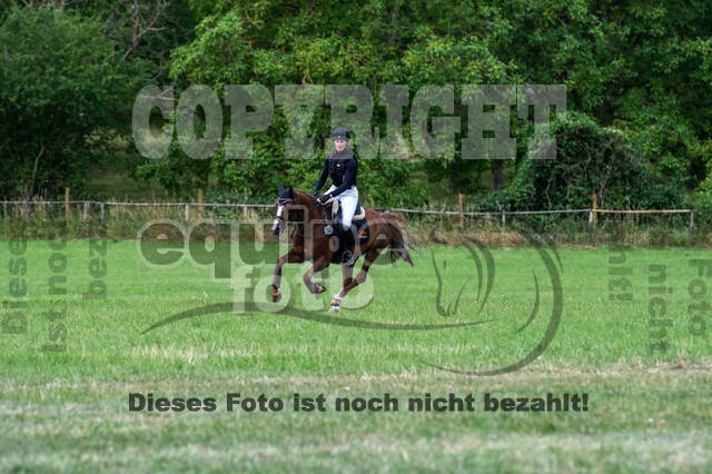Bonn-Rodderberg Late-Entry-Vielseitigkeit (30.06.2020)