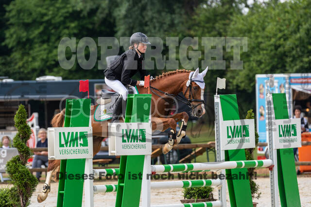 Goldene Schärpe 2021 - Ponys