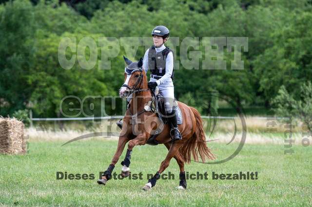 Bonn-Rodderberg Late-Entry-Vielseitigkeit (30.06.2020)