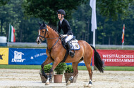 Goldene Schärpe 2021 - Ponys