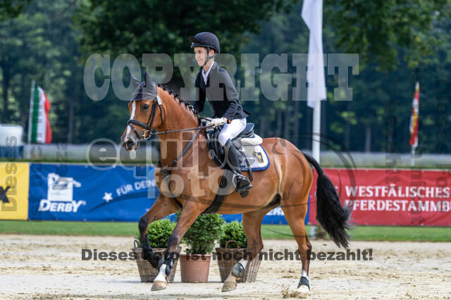 Goldene Schärpe 2021 - Ponys