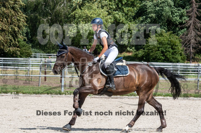 Late-Entry-Vielseitigkeit Langenfeld (06.+07.07.2020)