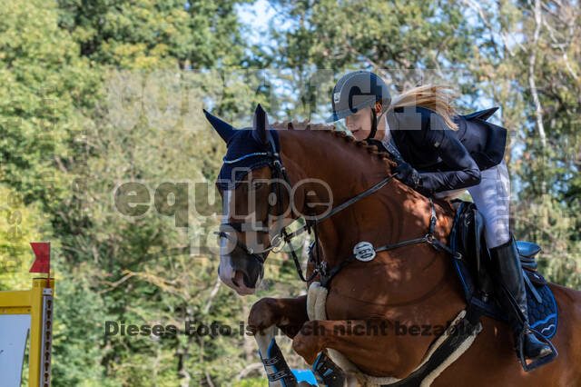RFV Dinslaken-Hiesfeld (Herbstturnier)