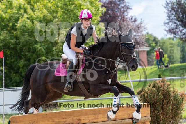 Late-Entry-Vielseitigkeit Langenfeld (06.+07.07.2020)