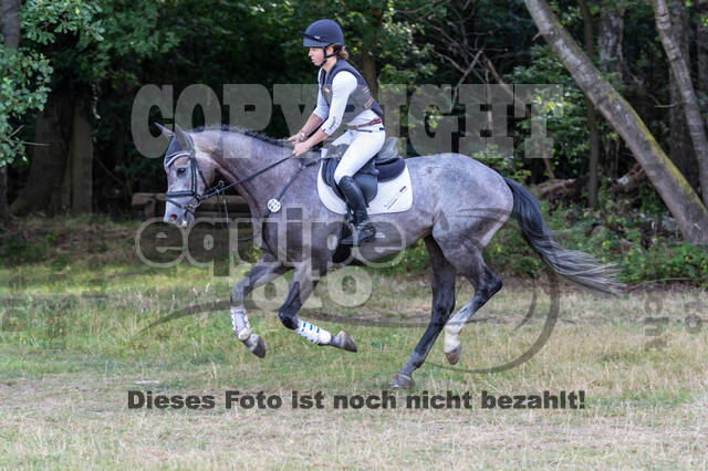 Late-Entry Vielseitigkeit Hamminkeln/Wesel (01.+02.08.2020)