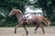 Vielseitigkeitsturnier ZRFV von Lützow Hamminkeln