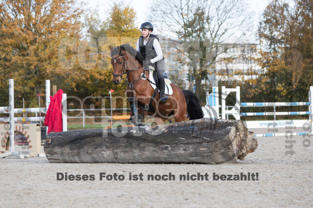 IGV Lehrgang der Sieger der Cups mit Frank Ostholt