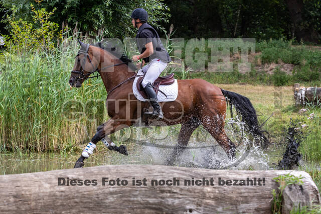 Late-Entry Vielseitigkeit Hamminkeln/Wesel (01.+02.08.2020)