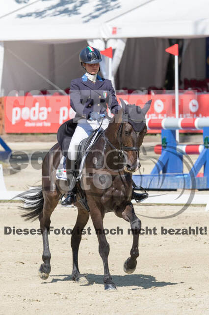 FEI European Championship