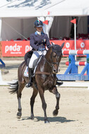 FEI European Championship
