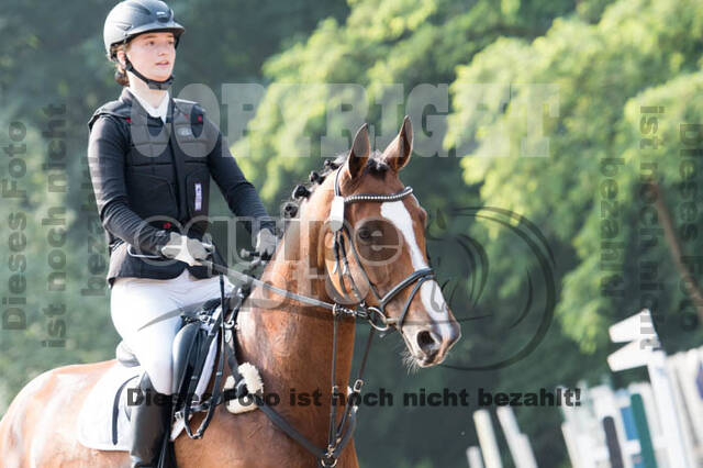 RFV Bad Honnef