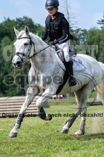 Goldene Schärpe 2021 - Ponys