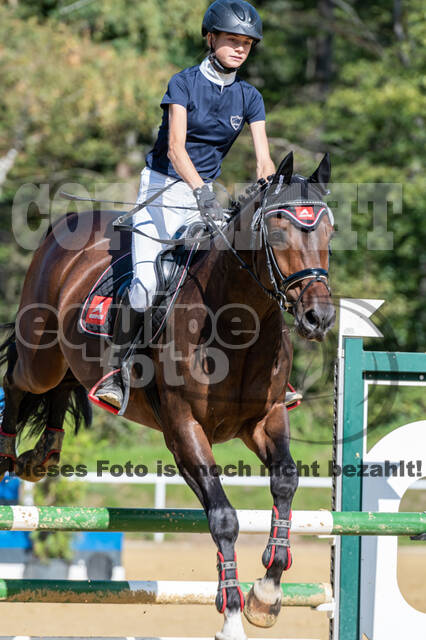 RFV Dinslaken-Hiesfeld (Herbstturnier)