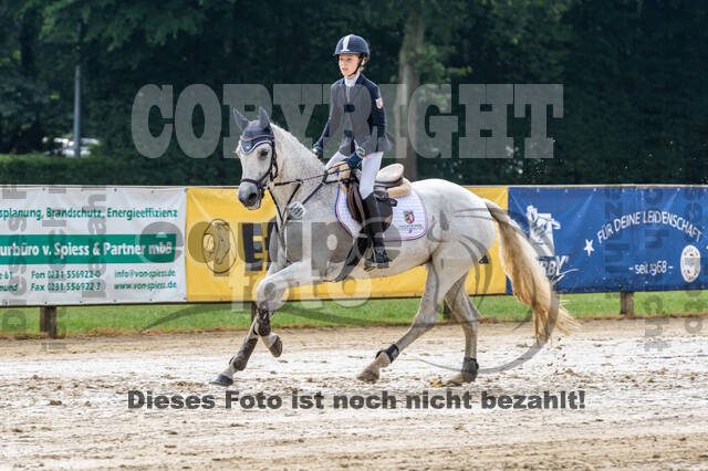 Goldene Schärpe 2021 - Ponys