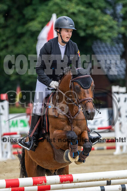 Goldene Schärpe 2021 - Ponys
