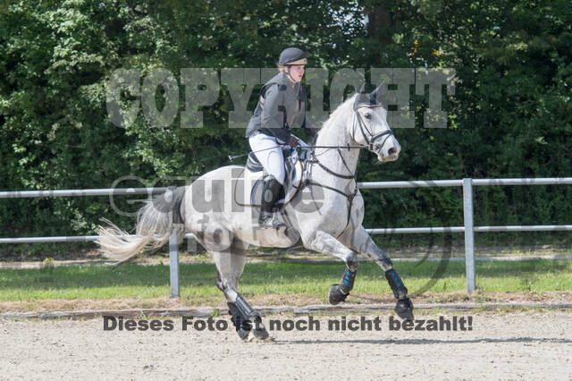 Eventing im Pferdesportzentrum Rheinland