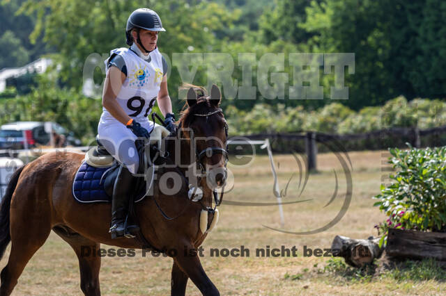 Late-Entry Vielseitigkeit Hamminkeln/Wesel (01.+02.08.2020)