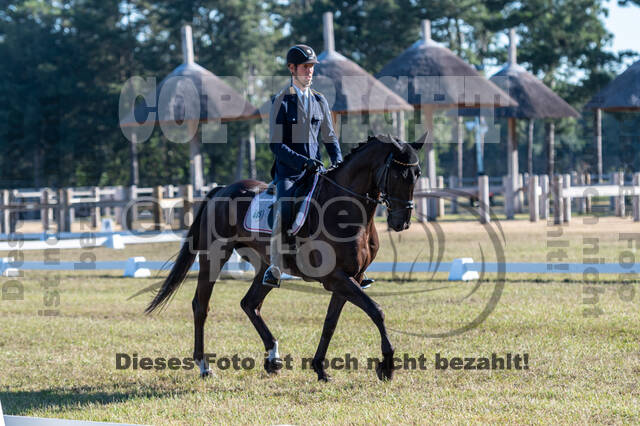 Kronenberg - De Peelbergen (August 2020)