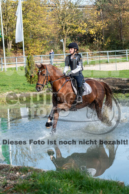 IGV Lehrgang der Sieger der Cups mit Frank Ostholt