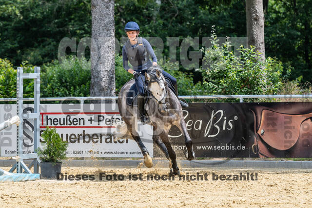Hunter Geländetraining 10.07.2021 (Sonsbeck)