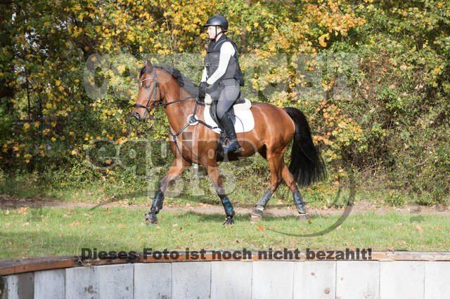 IGV Lehrgang der Sieger der Cups mit Frank Ostholt