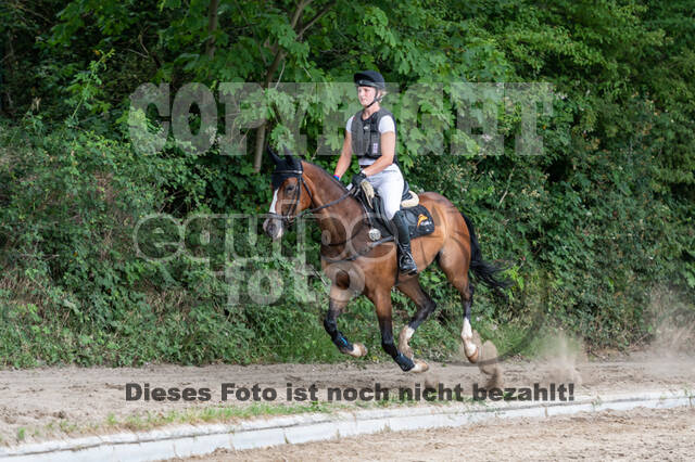 Late-Entry-Vielseitigkeit Langenfeld (11.+13./14.06.2020)