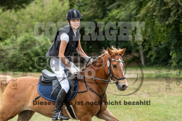 Late-Entry-Vielseitigkeit Langenfeld (11.+13./14.06.2020)