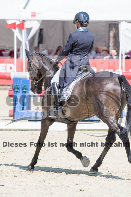 FEI European Championship