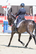 FEI European Championship