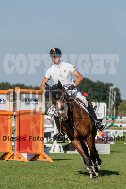 Kronenberg - De Peelbergen (August 2020)