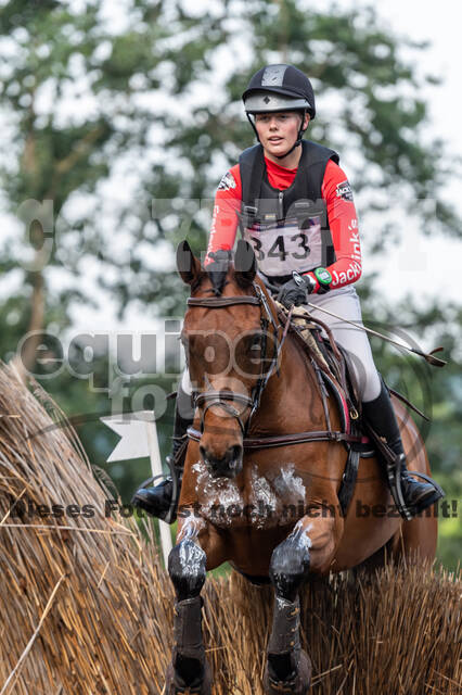 De Peelbergen (August 2020)