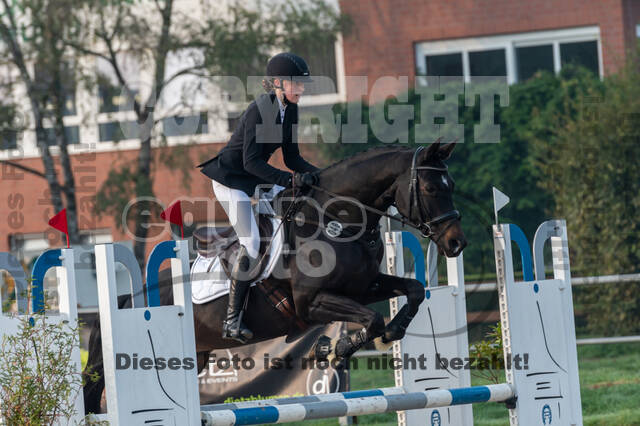 Goldene Schärpe 2020 - Pferde